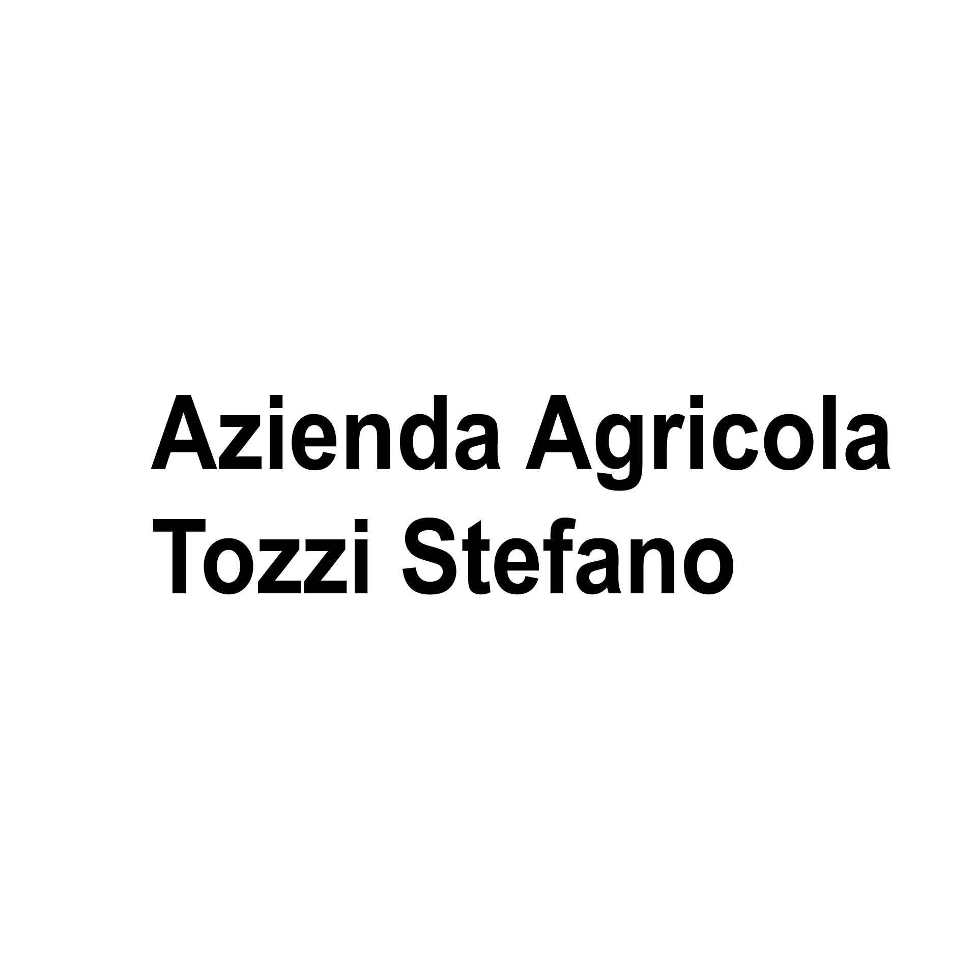 Tozzi Stefano