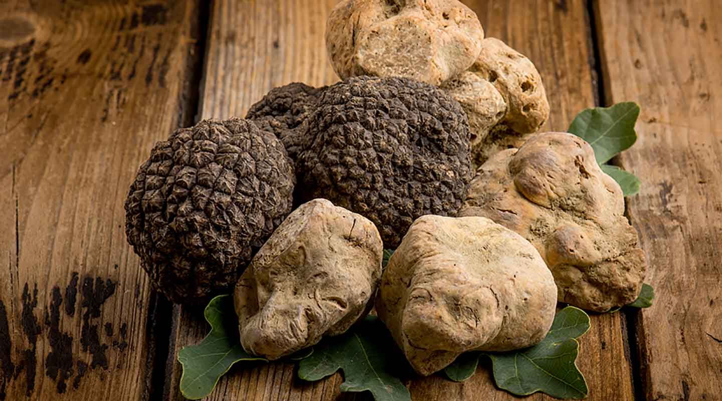 Трюфели Молизе