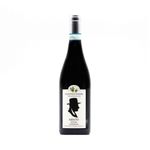 Amato 2015 Giannoni Fabbri - fronte