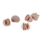 Lumache Integrali di Timilia Bio Pastificio Minardo - retro