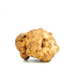 Tartufo Bianchetto o Marzuolo 40gr - fronte