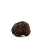 Tartufo d'estate o Scorzone 80gr - fronte