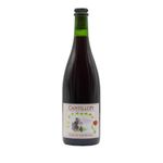 Rosé de Gambrinus Cantillon 0,75lt - fronte