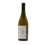 Sauvignon Blanc 2019 Camiliano - retro