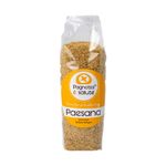 Pangrattato Paesana Secco Bio Pagnotta è Salute 500gr - fronte