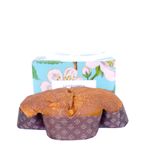 Lievitato Pasquale Vegano Albicocca e Cioccolato Forno Brisa - fronte