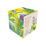 Tisana di Salvia e Limone bio Conf. 10 Filtri Aromy - retro
