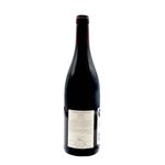Le Gamay de Bully Claire Naudin - lato dx