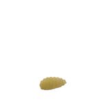 Malloreddus freschi di Senatore Cappelli 500Gr - lato dx