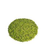Farina di Pistacchio Verde di Bronte DOP 500gr - lato dx