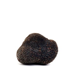 Tartufo Nero Pregiato 60gr - fronte