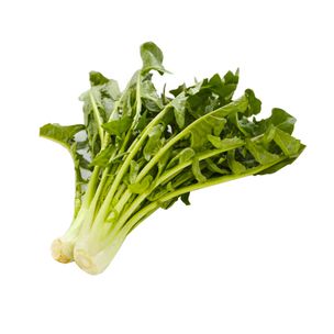 Cicoria Catalogna Bio - fronte