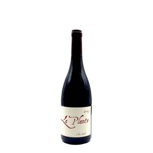 La Plante Pinot Noir Claire Naudin - fronte