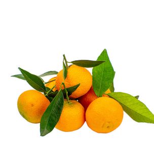 Clementine Tradizionali di Palagiano 5kg - fronte