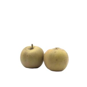 Mele Bio Grigia di Torriana 2kg - fronte
