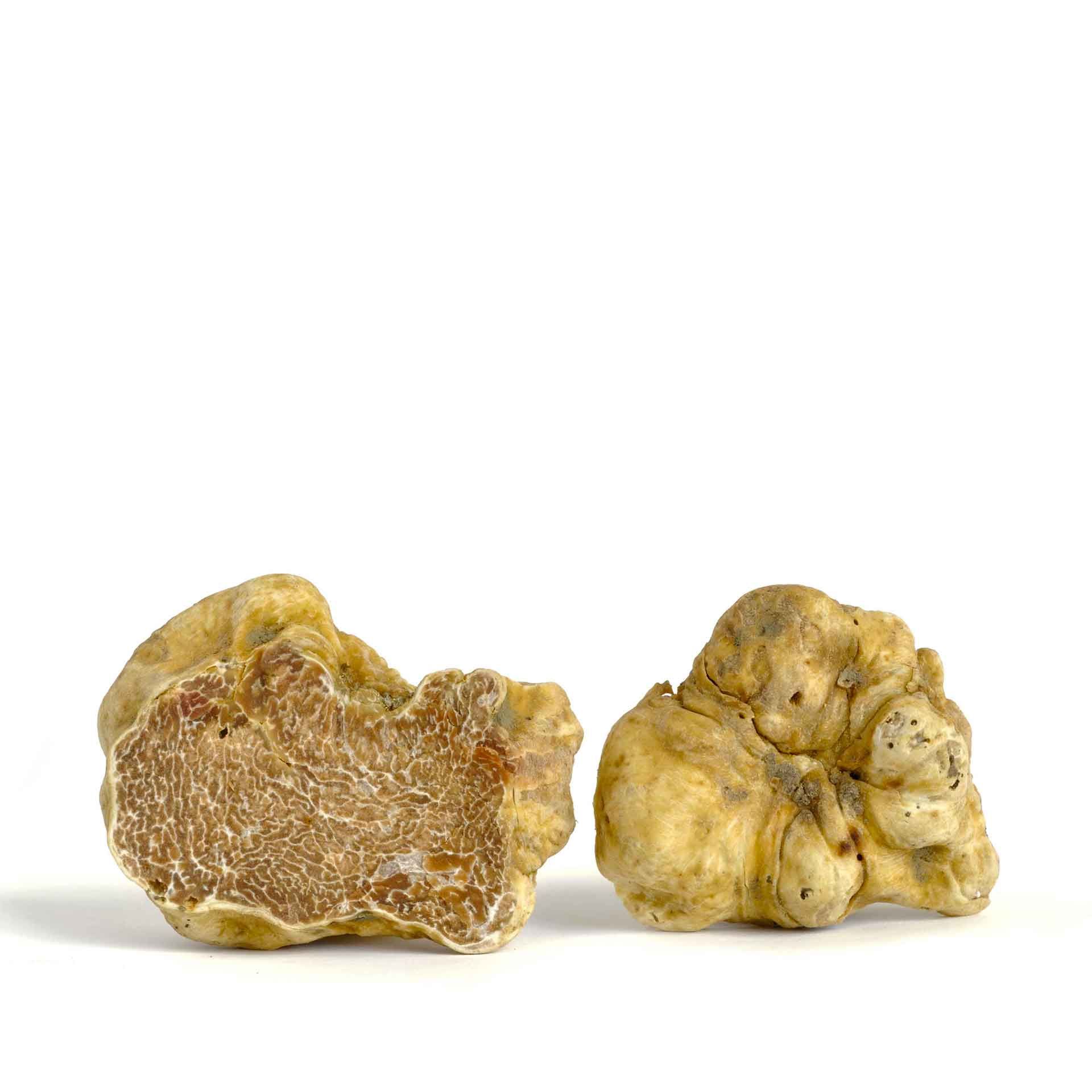 Tartufo Bianco 100gr - fronte
