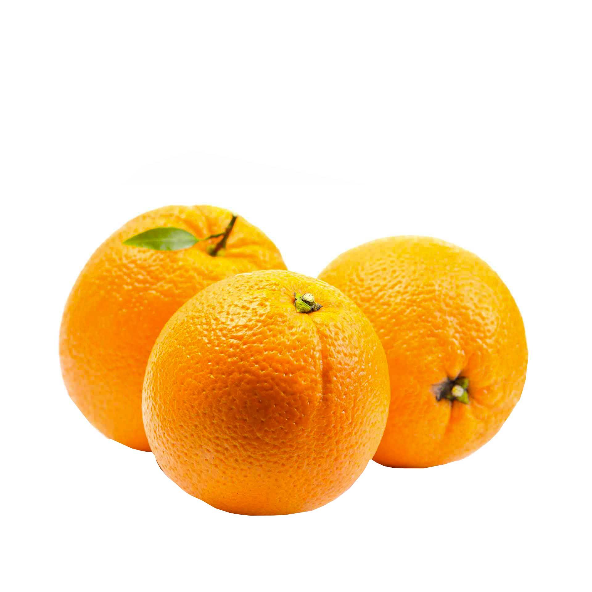 Arance Bio Ovale 1kg - fronte
