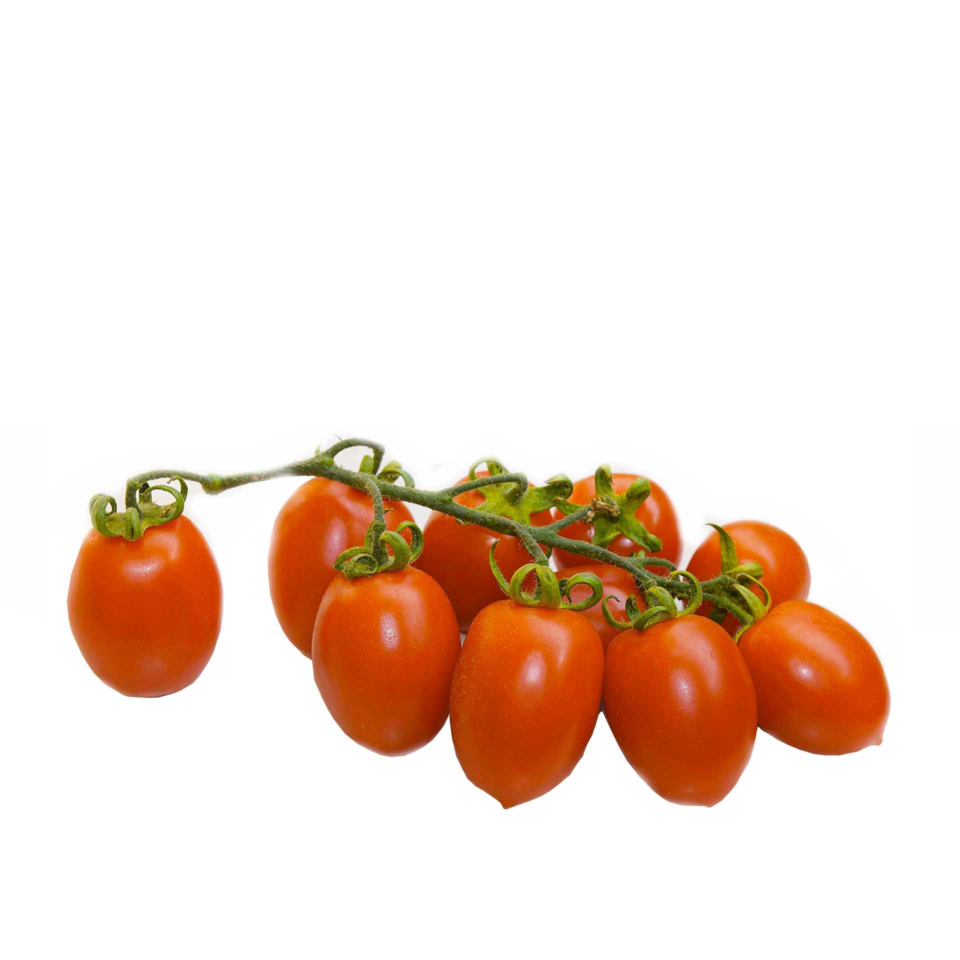 Pomodoro Pixel Bio - fronte