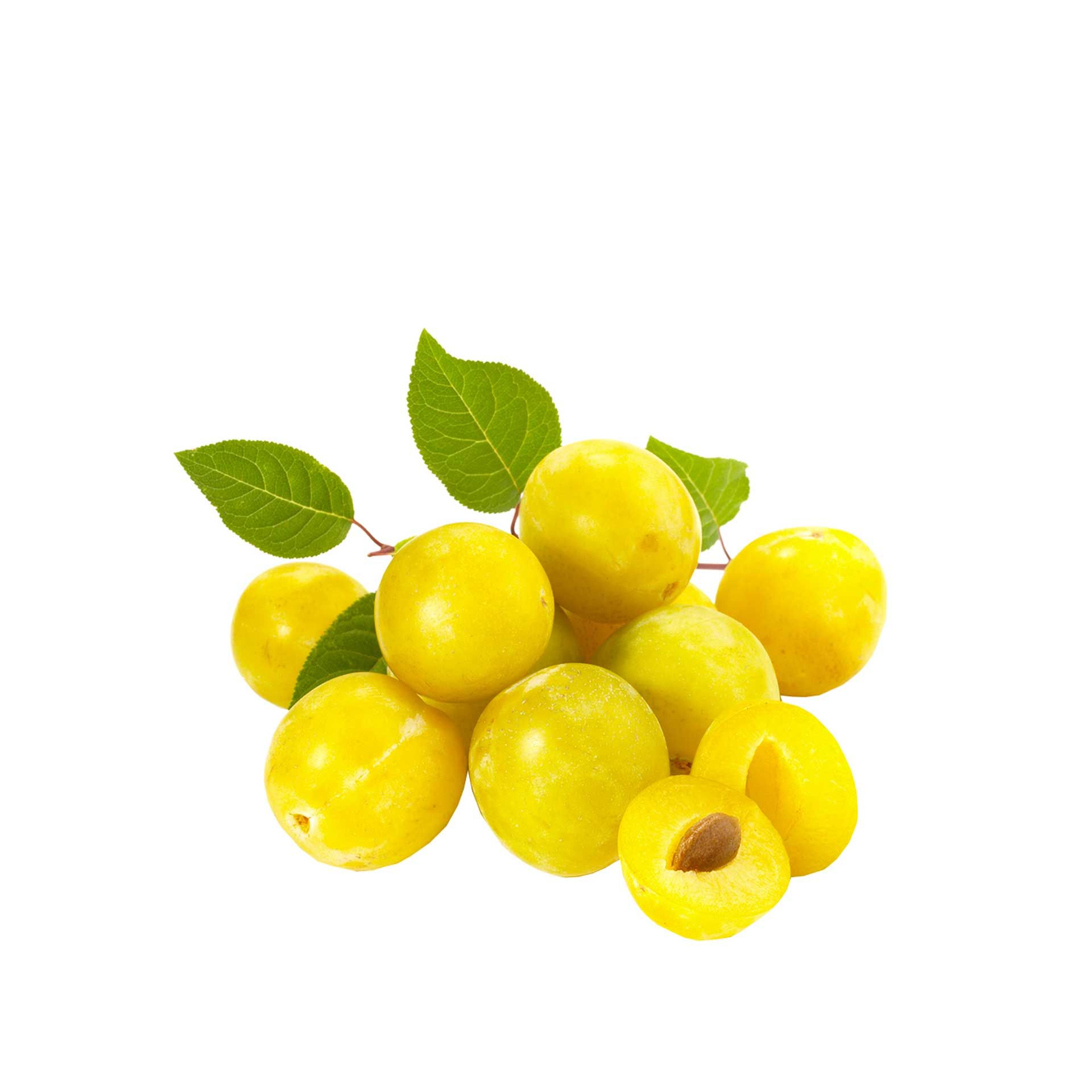 Susine Gialle Bio - fronte