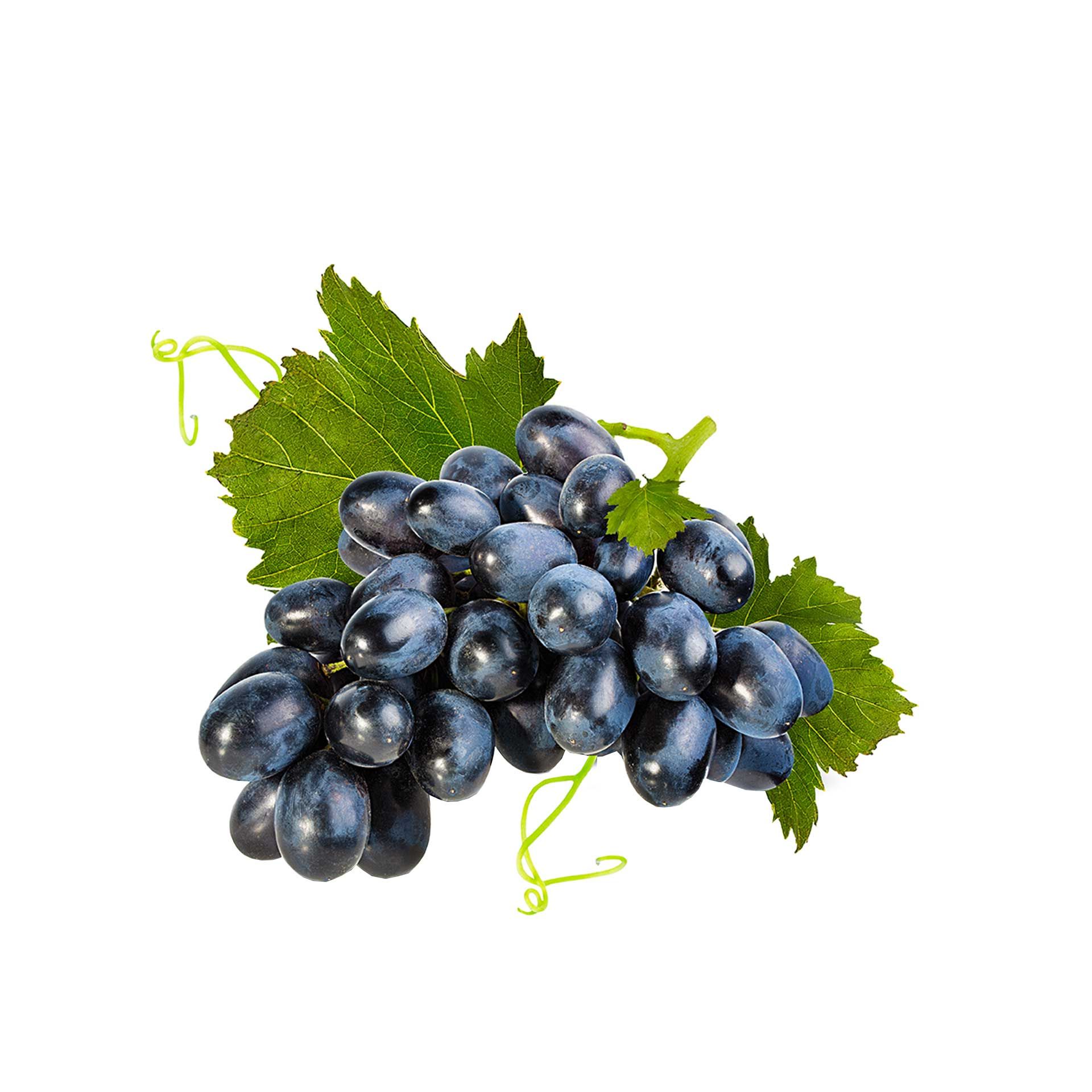 Uva Nera Vittoria Bio - fronte