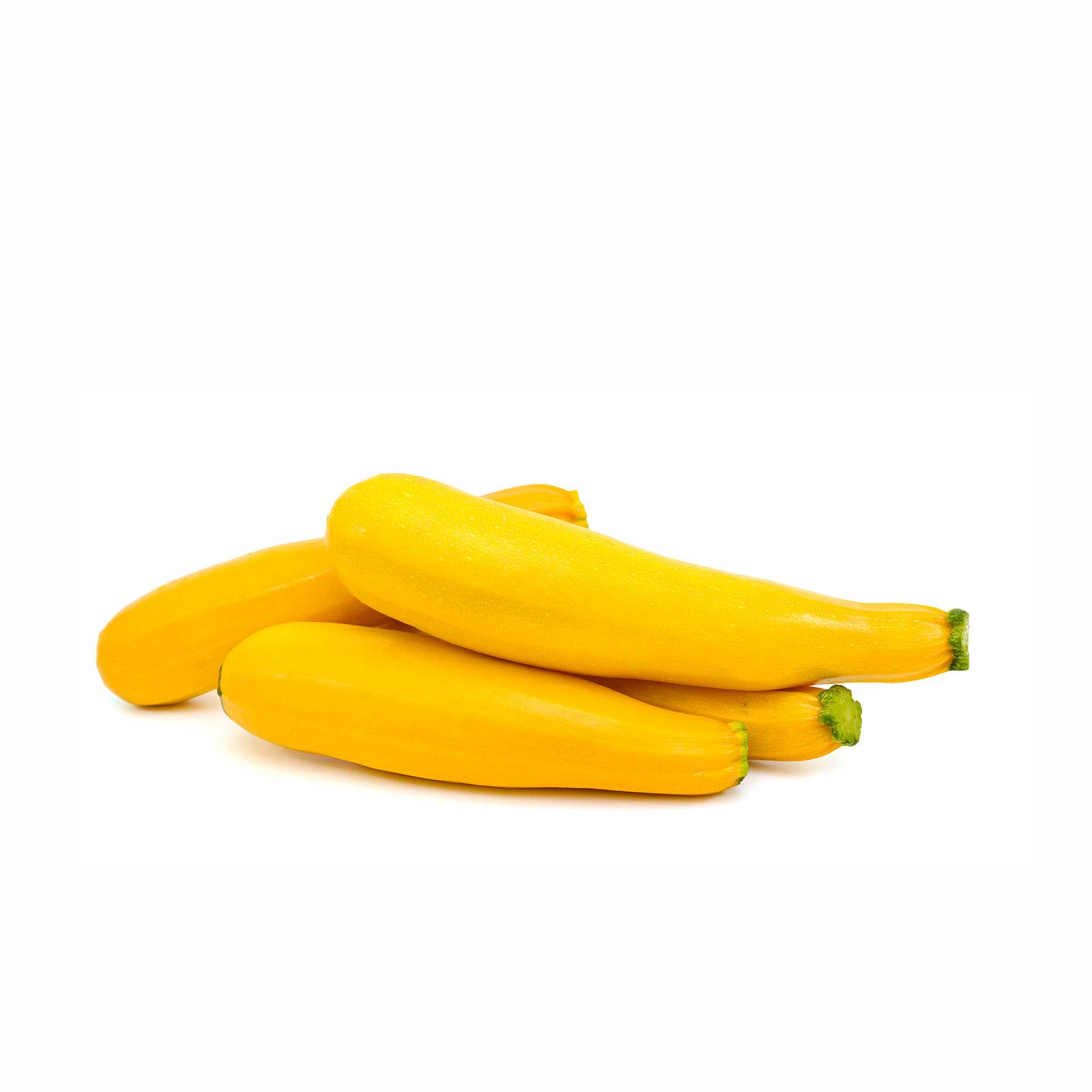 Zucchine Gialle Bio - fronte