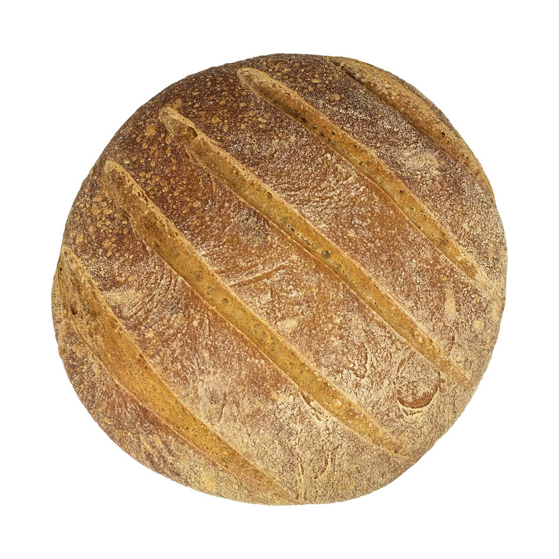 Pagnotta Paesana Bio Pagnotta è Salute 1Kg - fronte