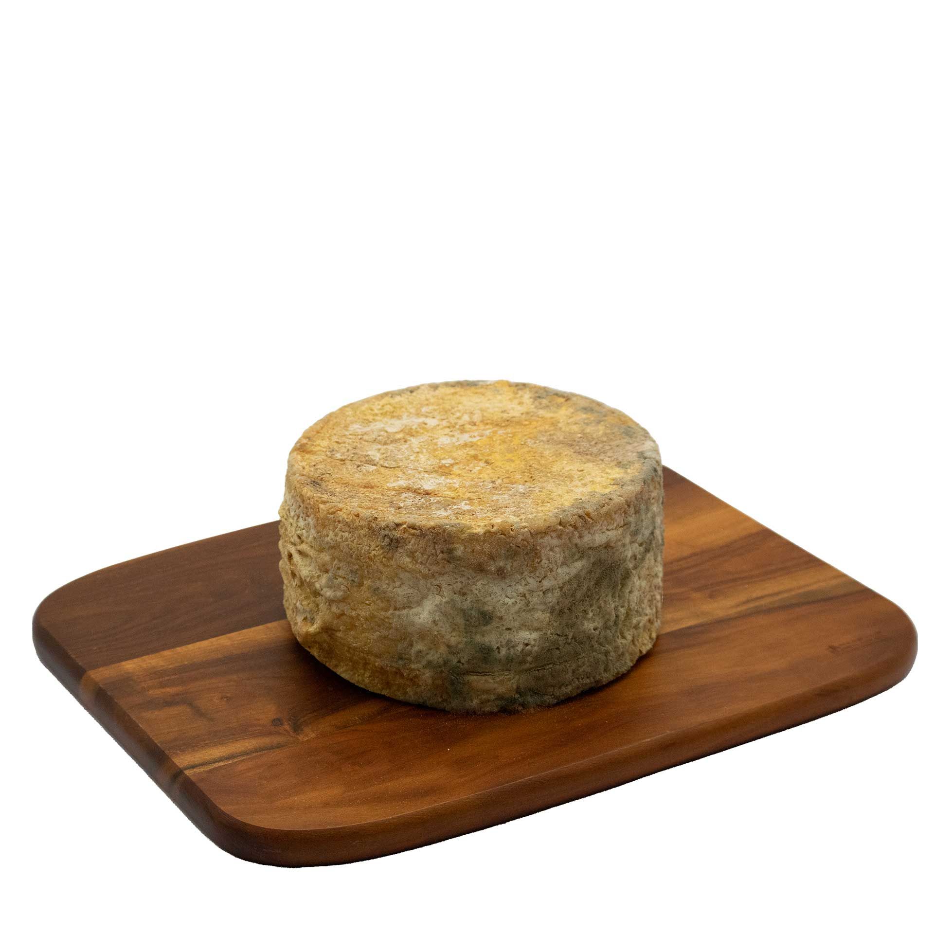 Vejot il Pecorino Alta Langa Fattoria Bronzetta 1,8Kg - fronte
