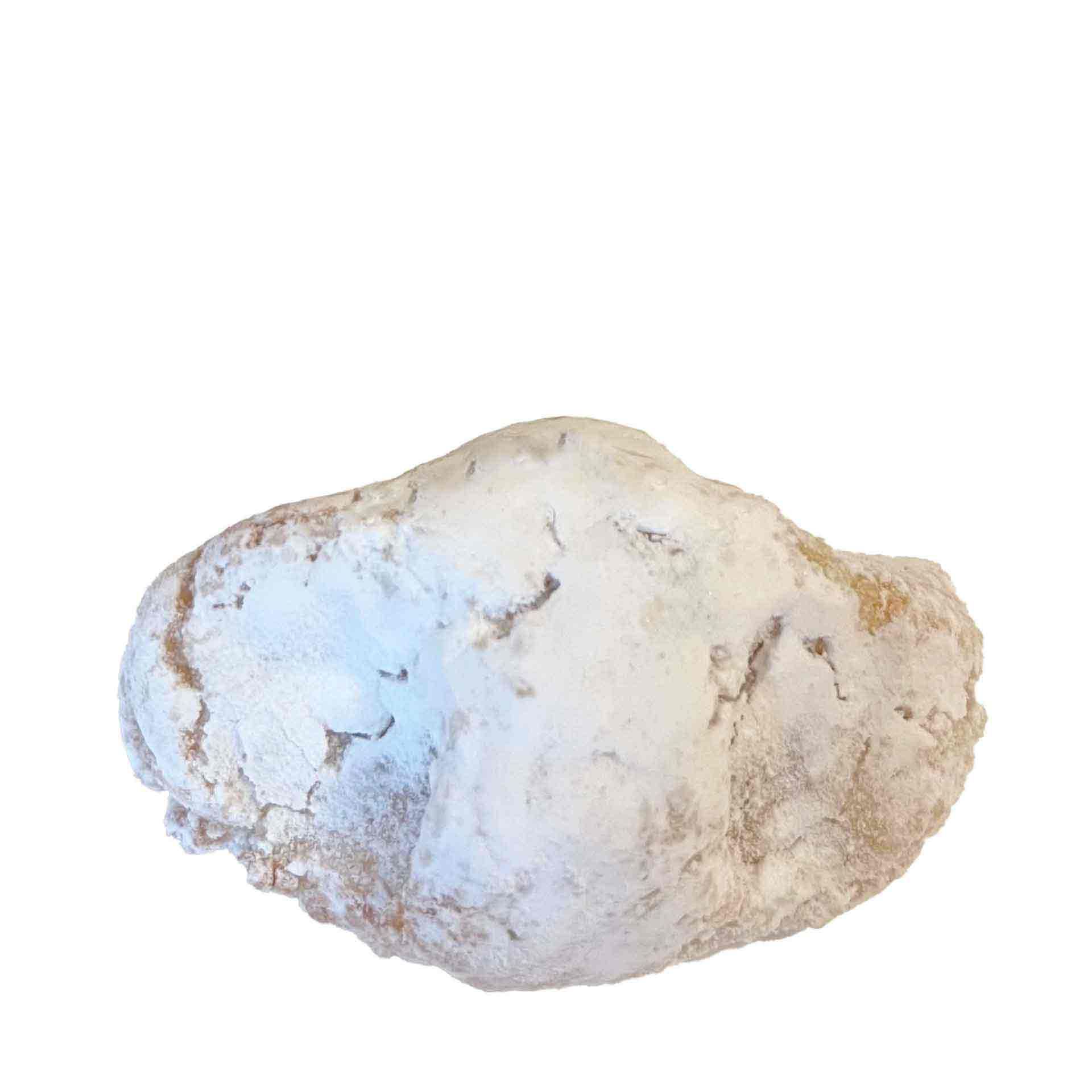 Viscotta Classico 30gr Viscotta - fronte
