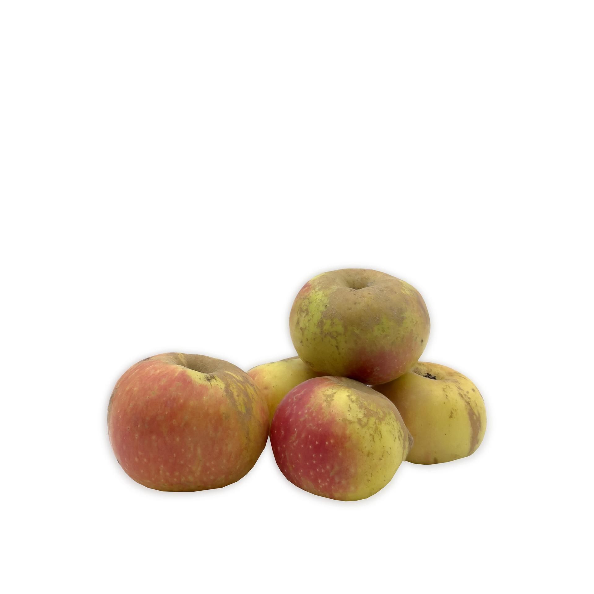 Mela Rosa dei Monti Sibillini 5Kg - fronte