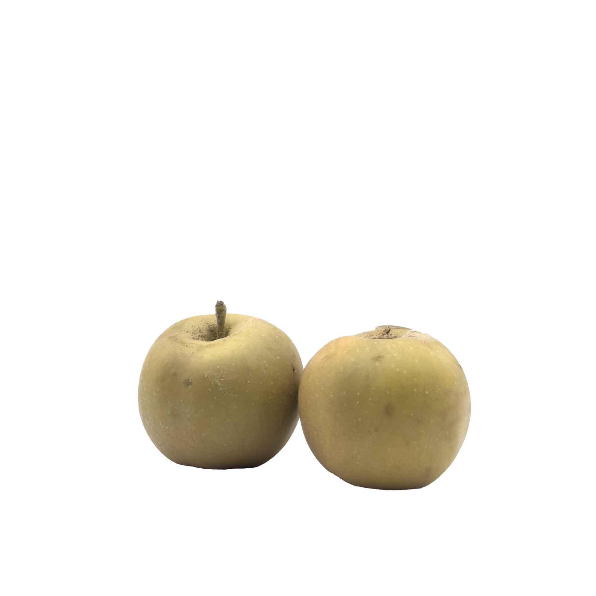 Mele Bio Grigia di Torriana 2kg - fronte