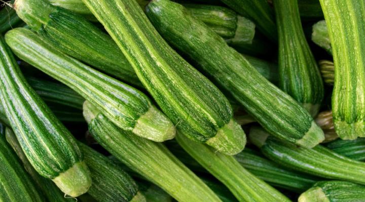 le zucchine fiorentine vendute online da foodoteka